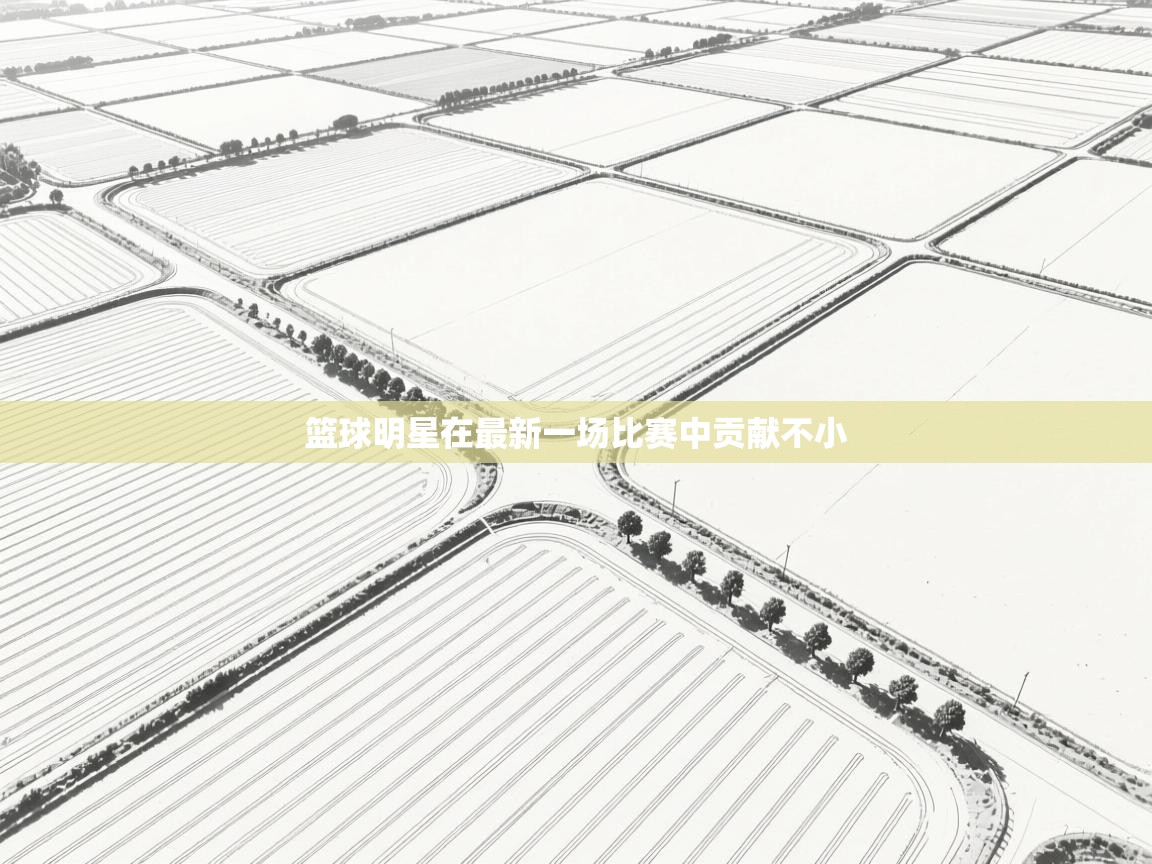 篮球明星在最新一场比赛中贡献不小