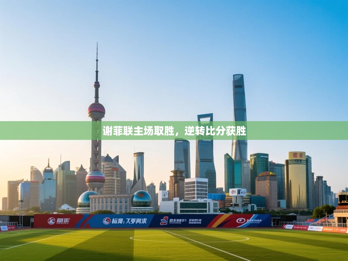 谢菲联主场取胜，逆转比分获胜